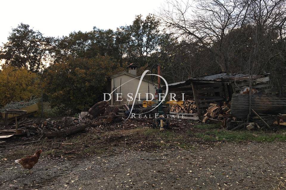 Immobile a Campagnatico - Foto 3