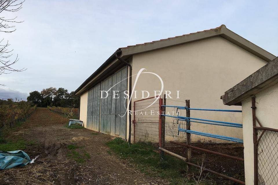 Immobile a Campagnatico - Foto 4