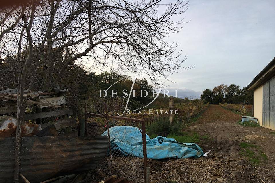 Immobile a Campagnatico - Foto 5