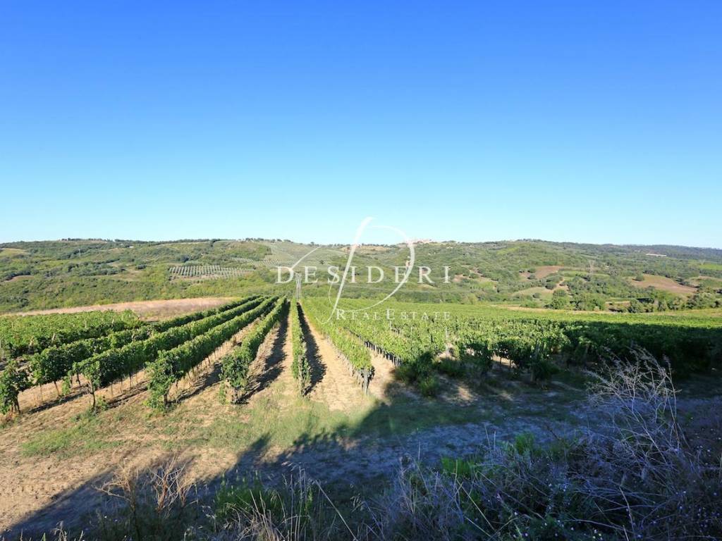 Immobile a Civitella paganico - Foto 4