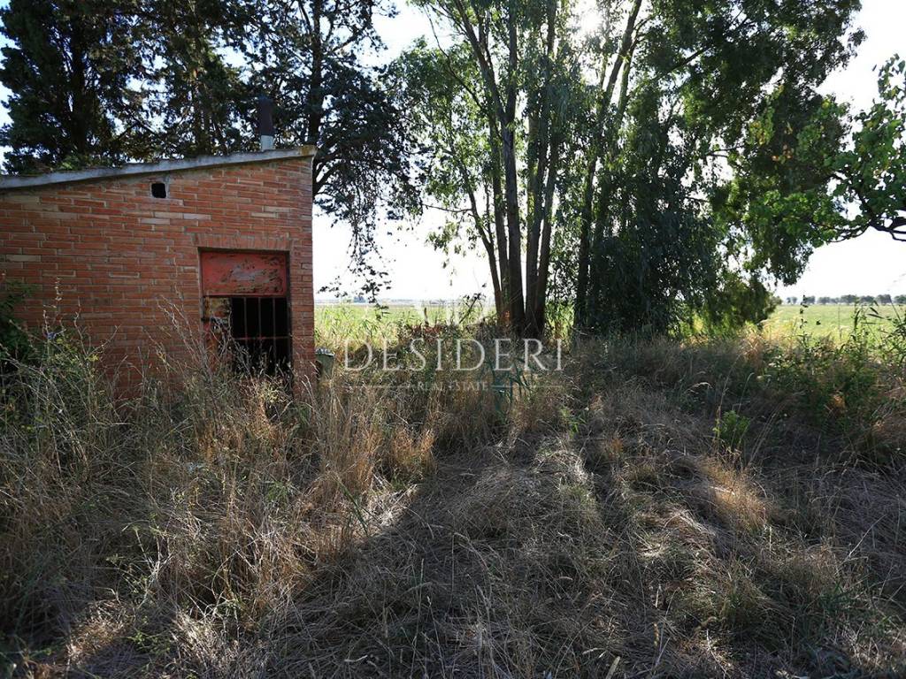 Terreno a Grosseto - Foto 3