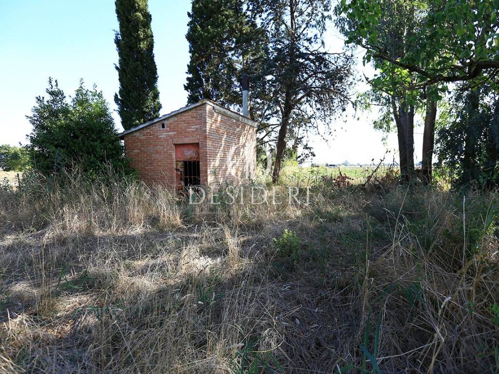 Terreno a Grosseto - Foto 4