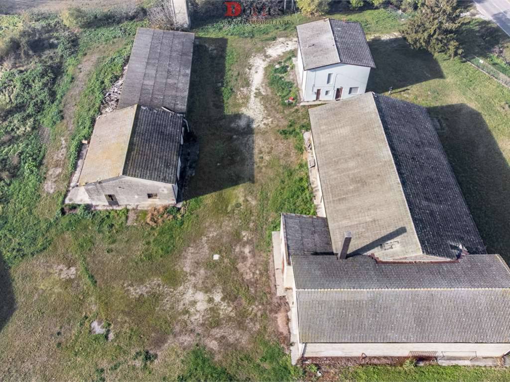Terreno a Bondeno - Foto 3