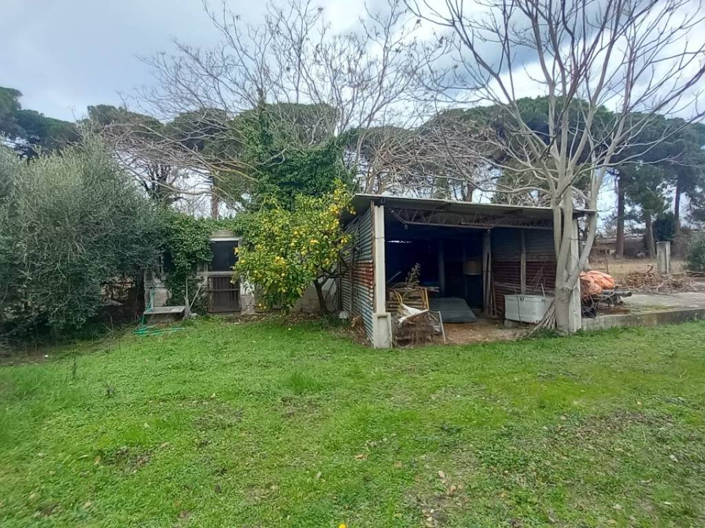 Rustico / casale a Fermo in Strada Provinciale Paludi, 369 - Foto 5