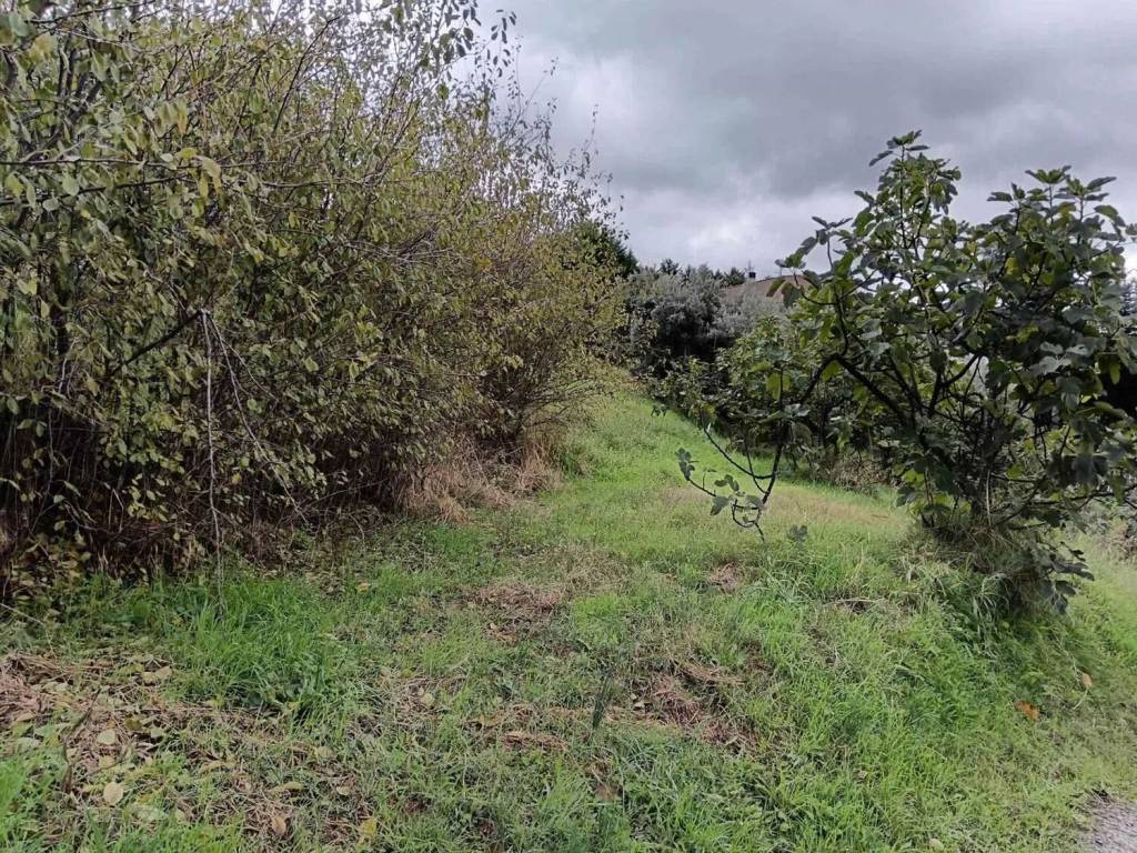 Terreno a Cosenza - Foto 2
