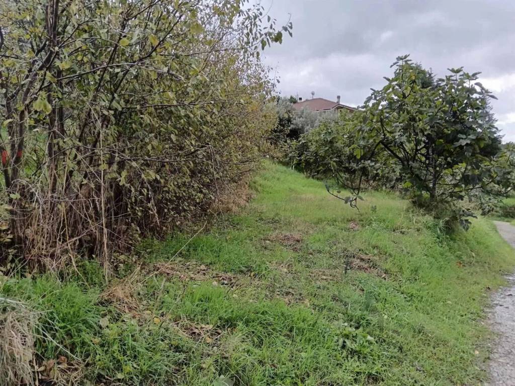Terreno a Cosenza - Foto 3