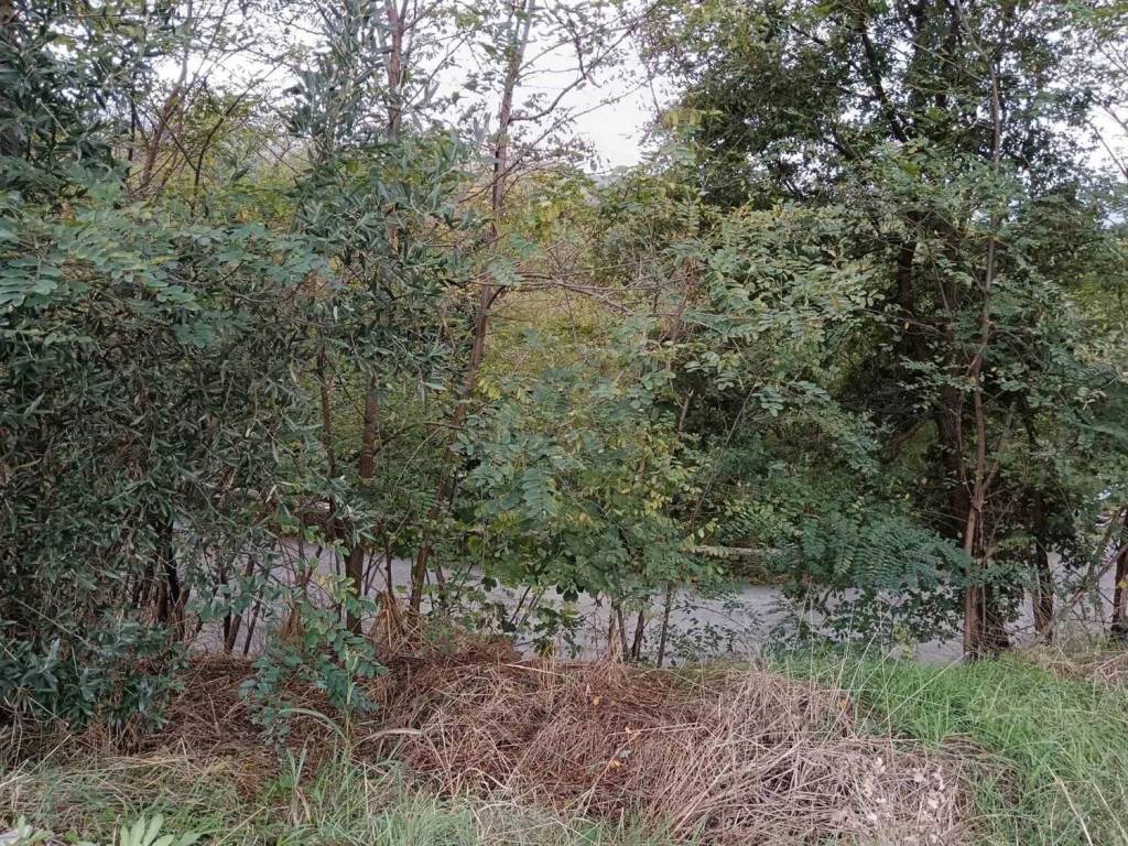 Terreno a Cosenza - Foto 4