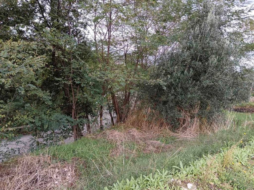 Terreno a Cosenza - Foto 5