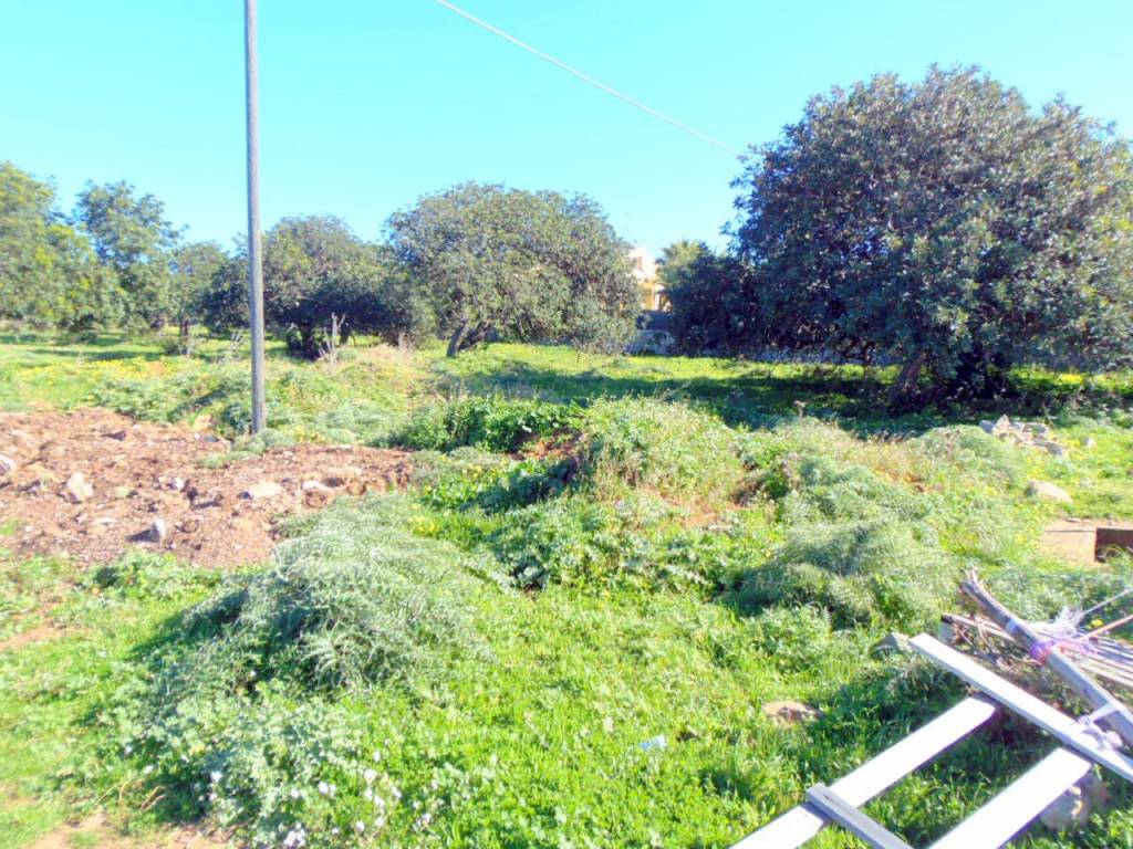 Terreno a Ragusa in SP111 - Foto 3