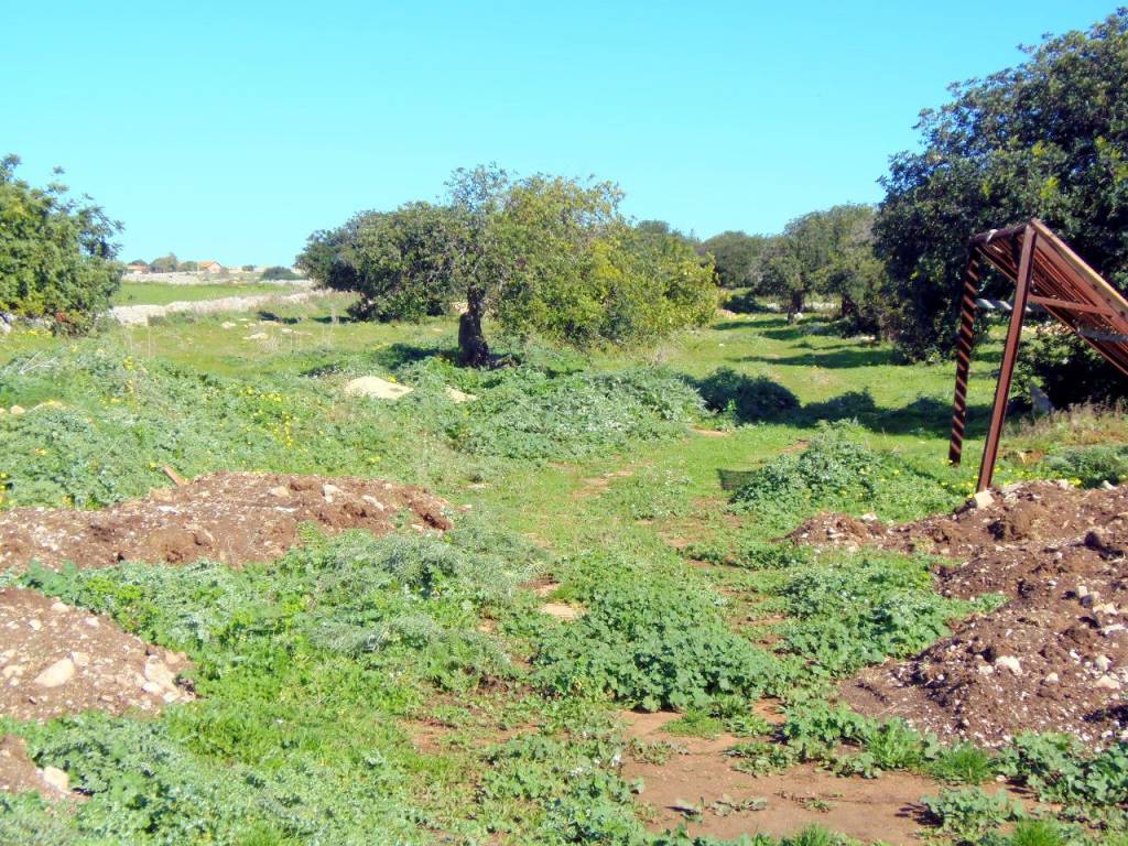 Terreno a Ragusa in SP111 - Foto 4