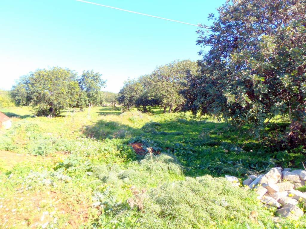 Terreno a Ragusa in SP111 - Foto 5