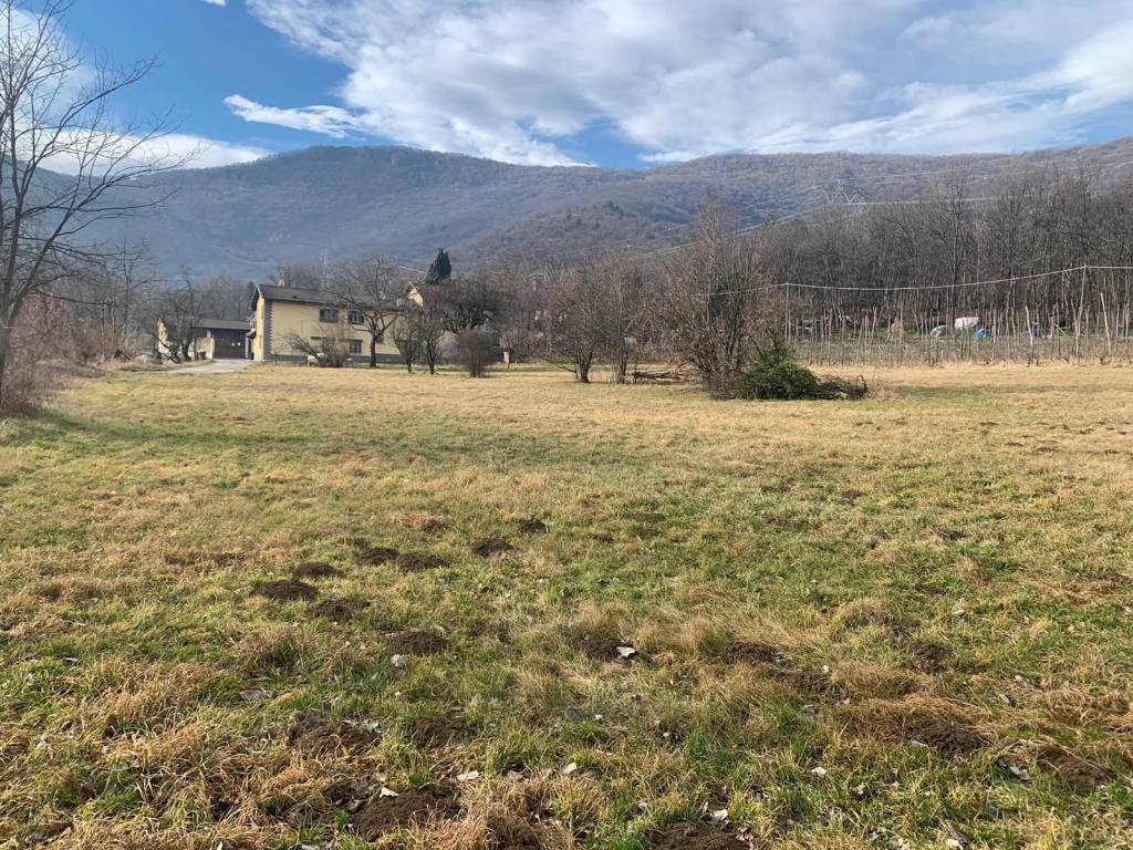 Terreno a Sangano in Via Merlino - Foto 4