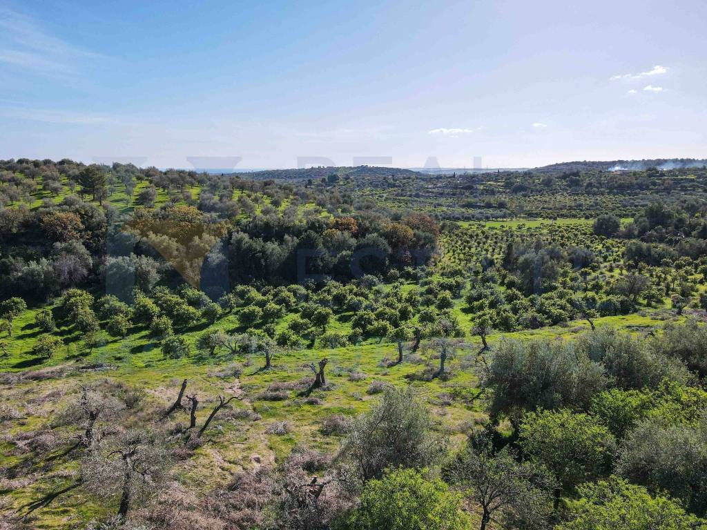 Rustico / casale a Noto in Via Tommaso Fazello, 228 - Foto 2