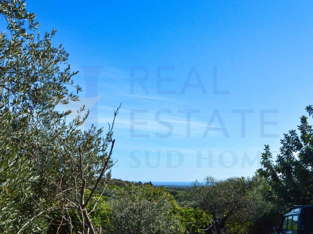 Rustico / casale a Noto in Via Tommaso Fazello, 228 - Foto 3