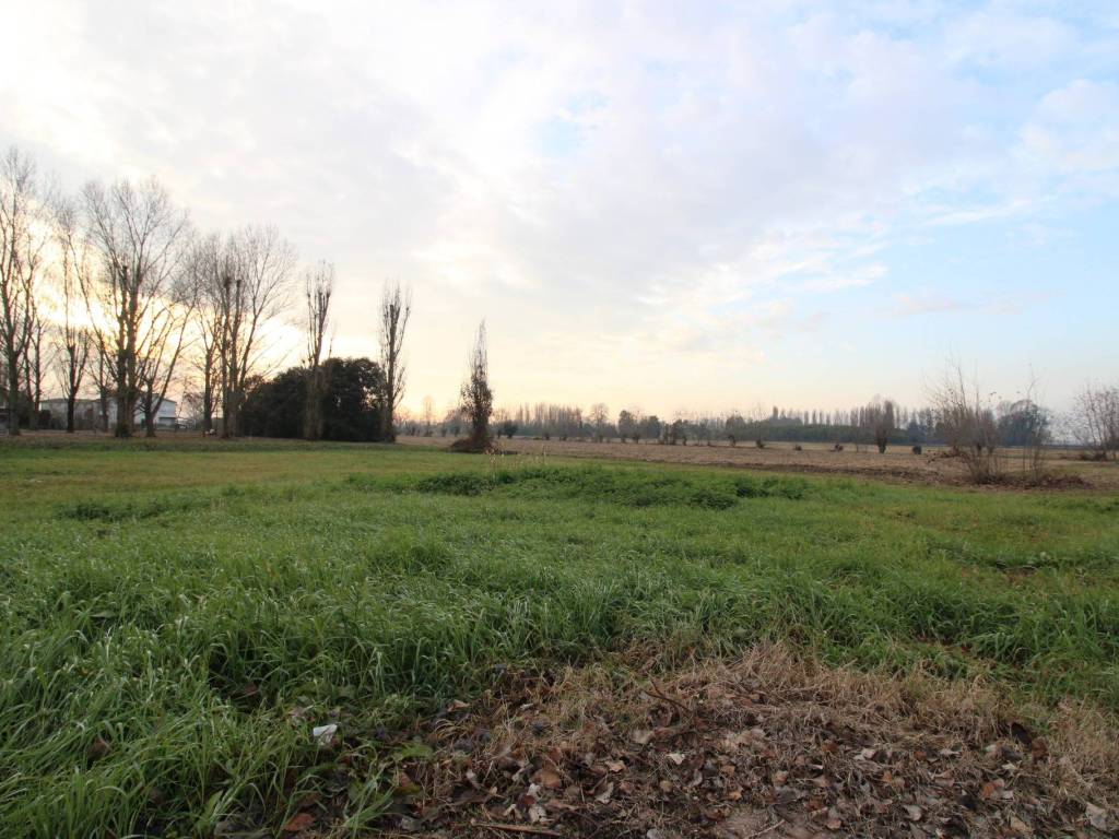 Terreno a Cessalto in Via Arco di Levante - Foto 3