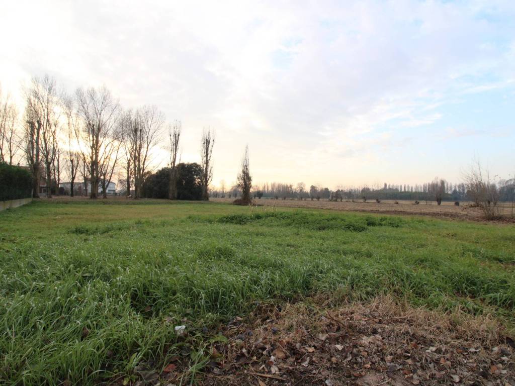 Terreno a Cessalto in Via Arco di Levante - Foto 4