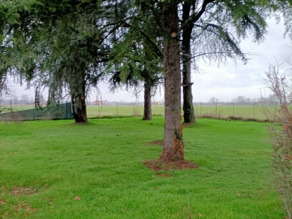 Villa a Castel san giovanni - Foto 5