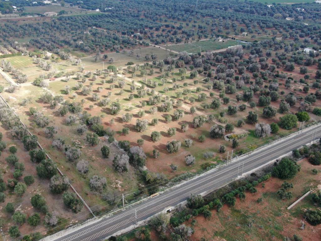 Terreno a Carovigno in Contrada Acciano - Foto 5