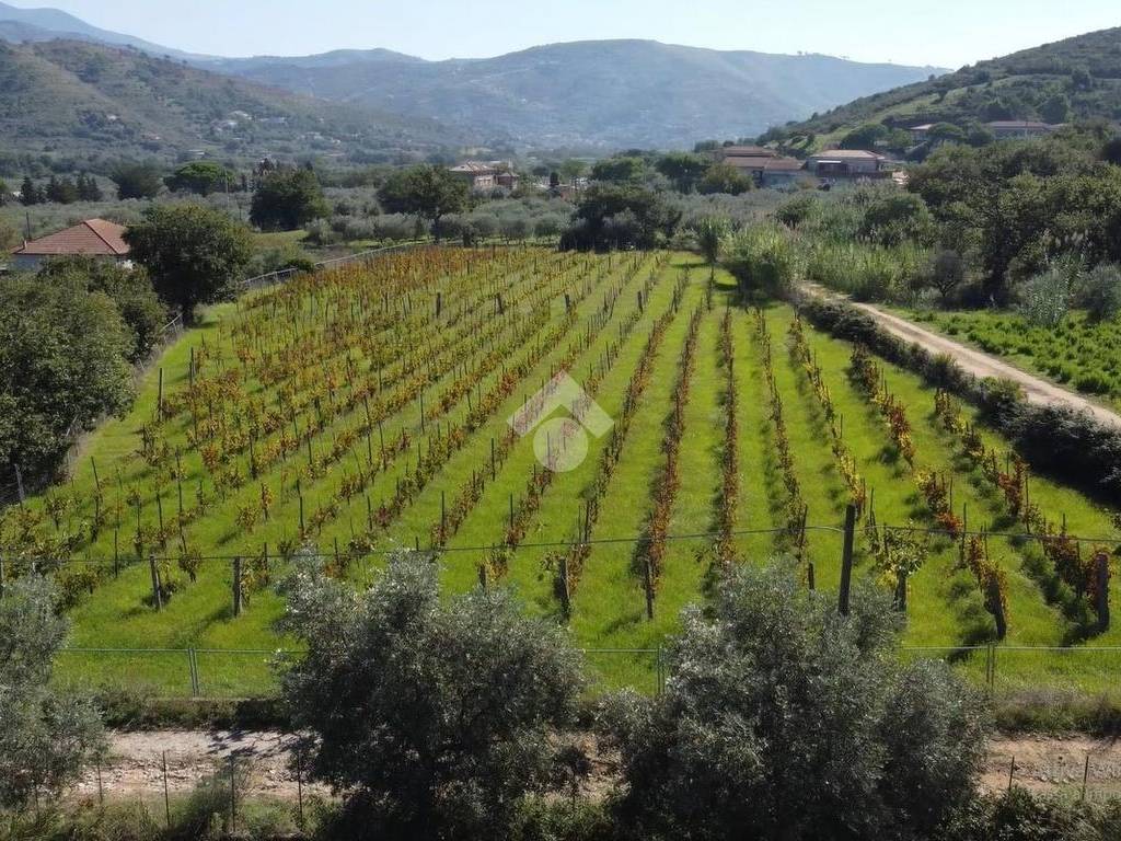 Terreno a Castellabate in Località Cenito - Foto 2