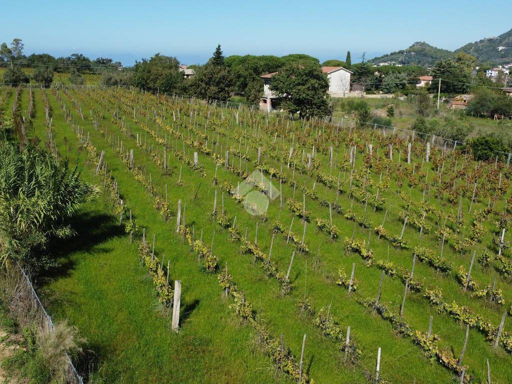 Terreno a Castellabate in Località Cenito - Foto 3