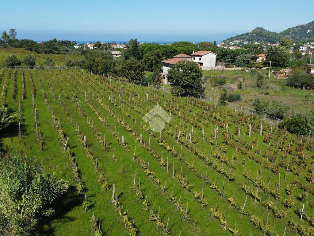 Terreno a Castellabate in Località Cenito - Foto 4