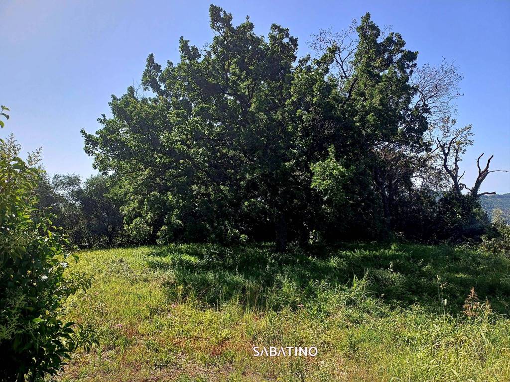 Villa a Salerno in Via Montestella - Foto 4