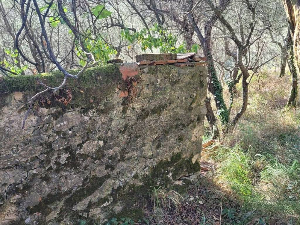 Terreno a La spezia in Via Sant'Andrea - Foto 5