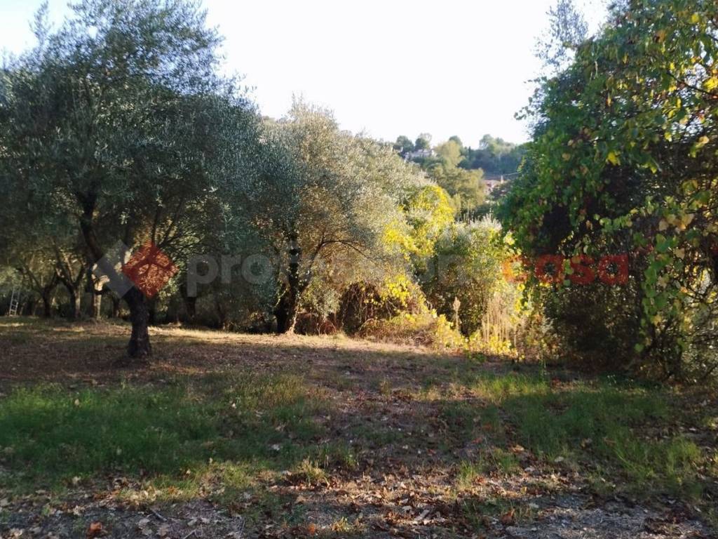Terreno a Anagni in via prignano di sopra, snc - Foto 2