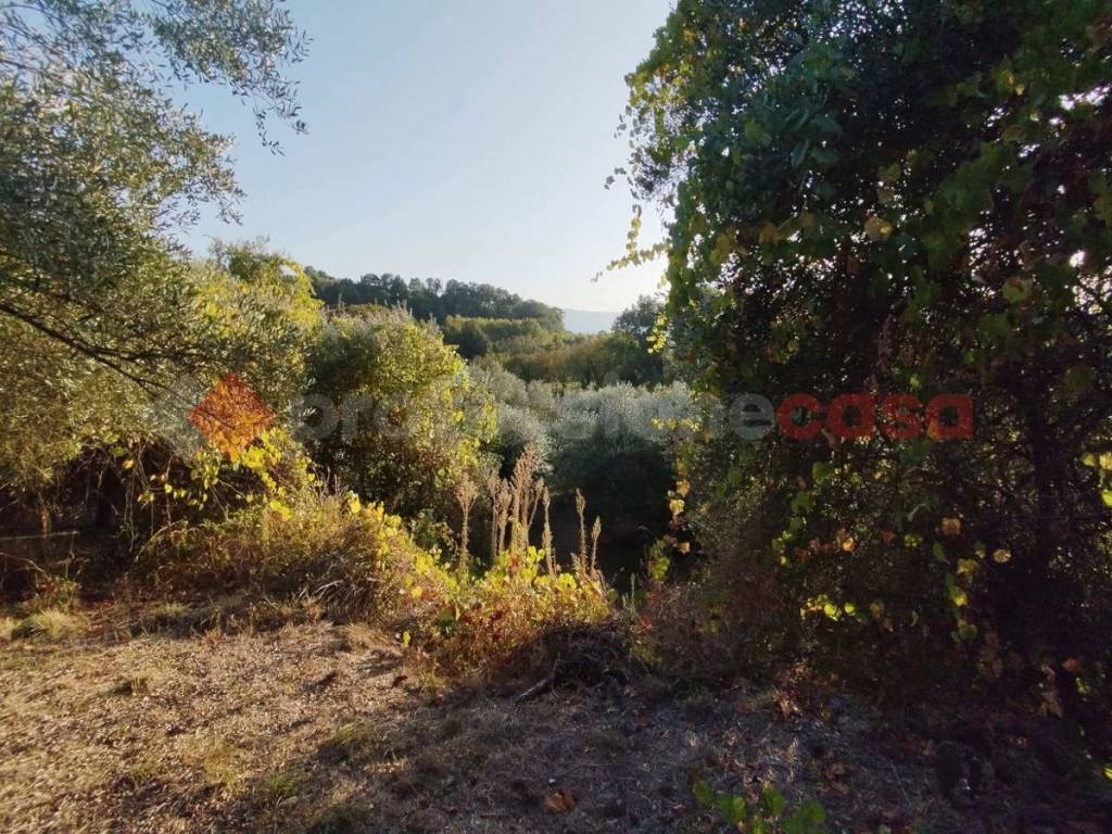 Terreno a Anagni in via prignano di sopra, snc - Foto 3