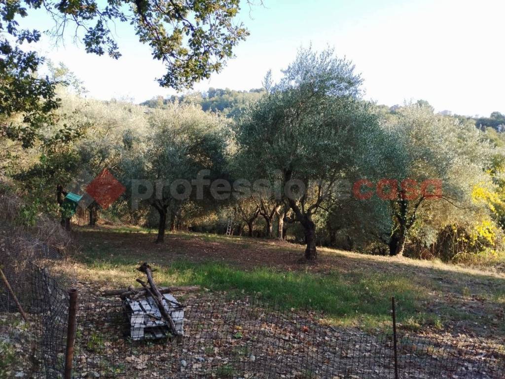 Terreno a Anagni in via prignano di sopra, snc - Foto 4