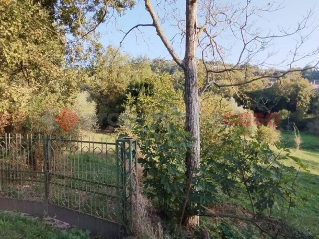 Terreno a Anagni in via prignano di sopra, snc - Foto 5