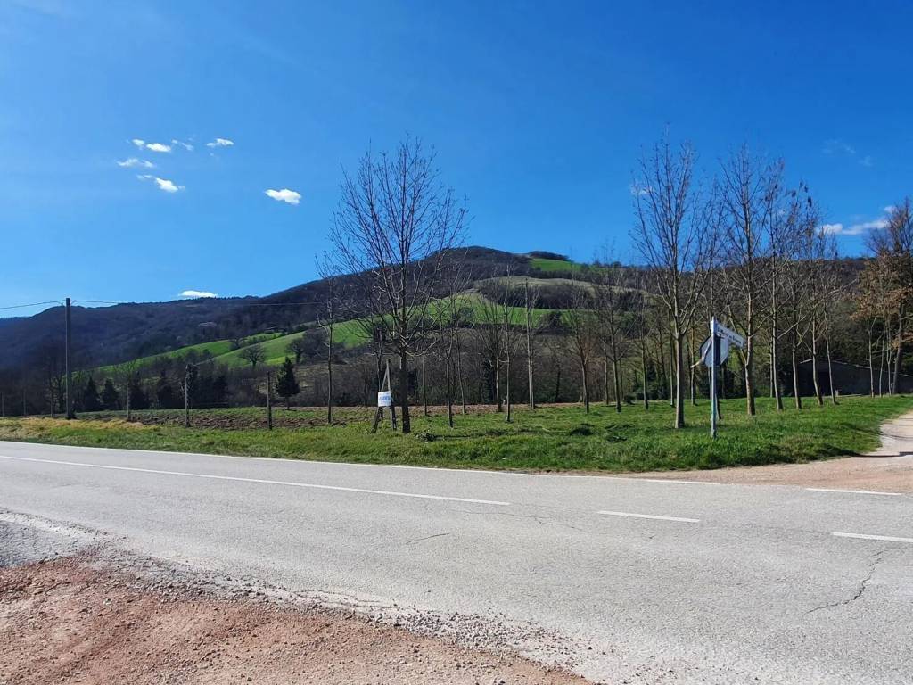 Terreno a Urbania in Via Santa Maria In Triara S.N.C. - Foto 2
