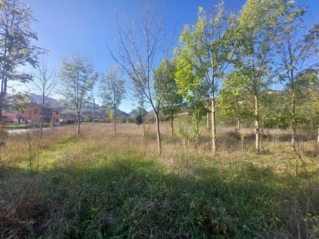 Terreno a Urbania in Via Santa Maria In Triara S.N.C. - Foto 3