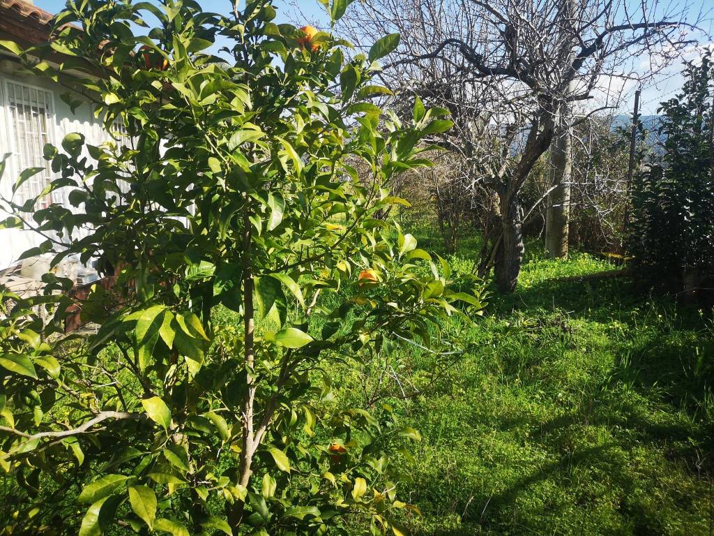 Villa a Briatico - Foto 5