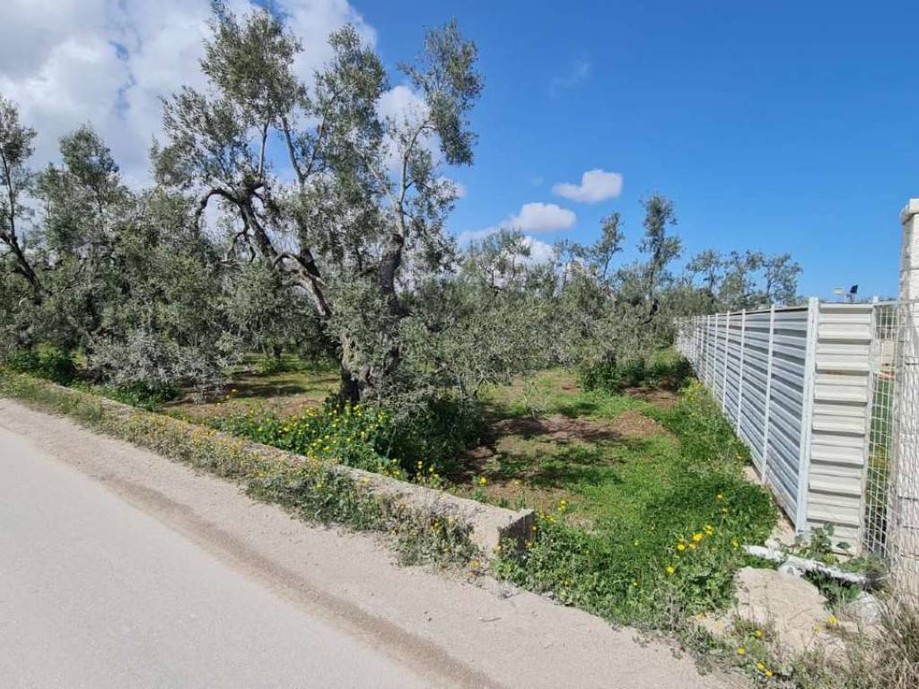 Terreno a Bisceglie in via Vecchia Corato - Foto 2