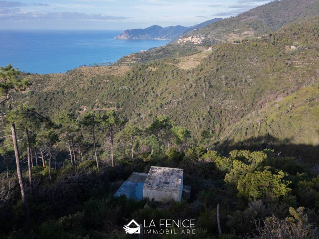 Rustico / casale a Riomaggiore in SP51 - Foto 2