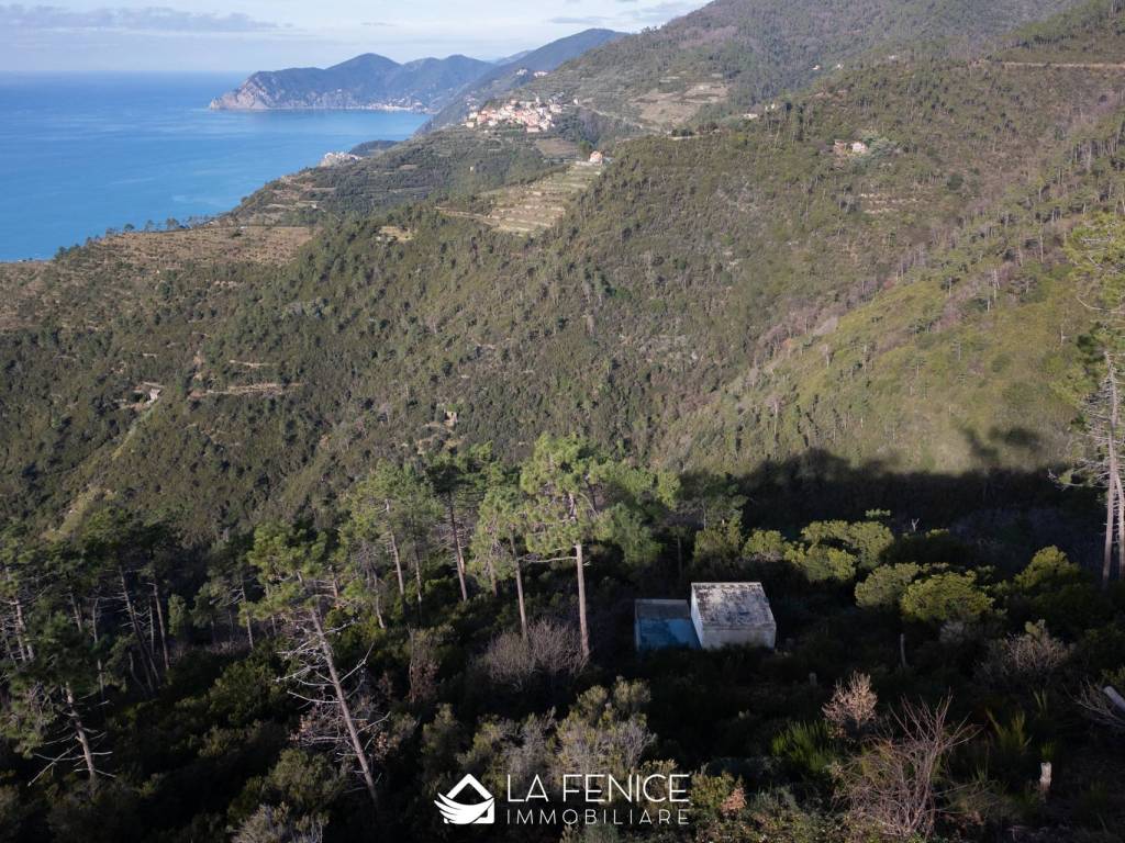 Rustico / casale a Riomaggiore in SP51 - Foto 3