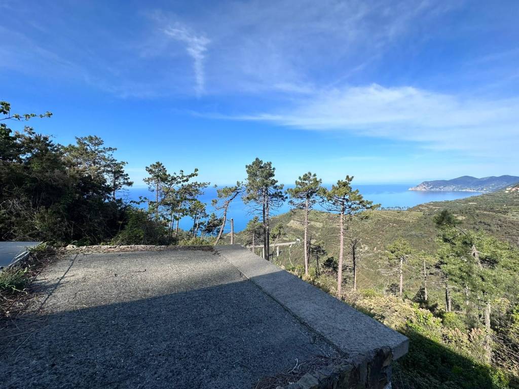 Rustico / casale a Riomaggiore in SP51 - Foto 5