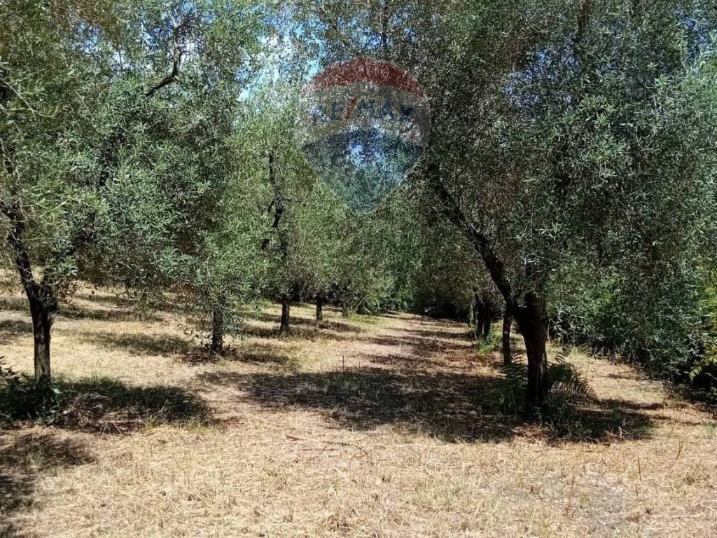 Terreno a Minturno - Foto 2
