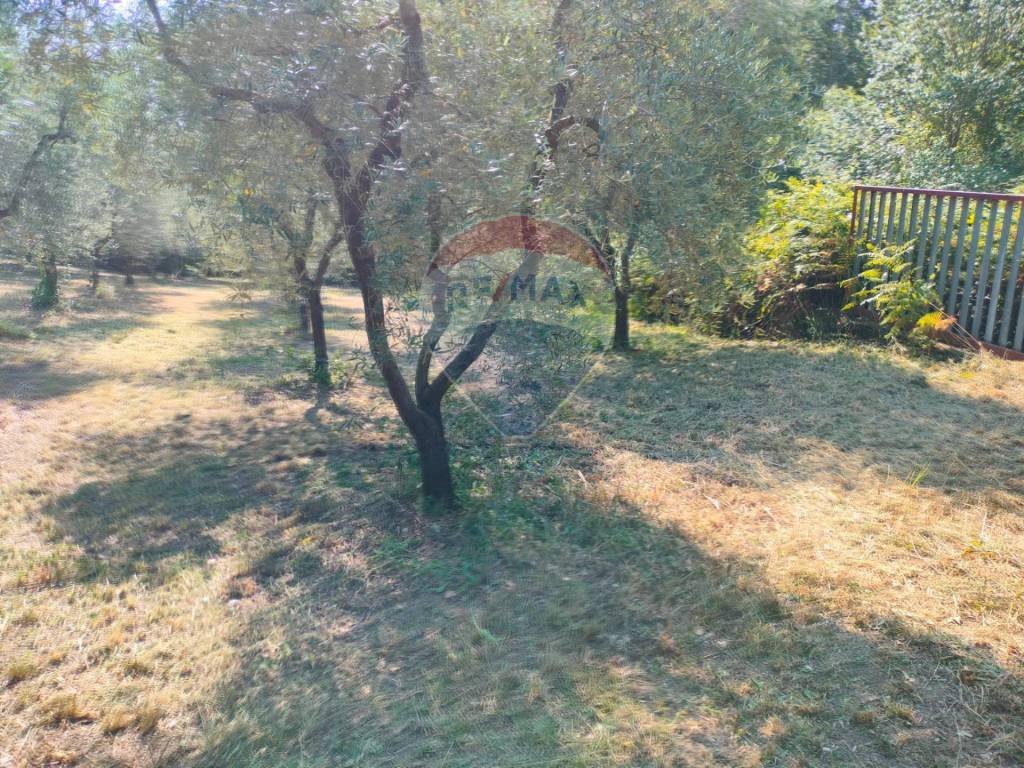 Terreno a Minturno - Foto 3