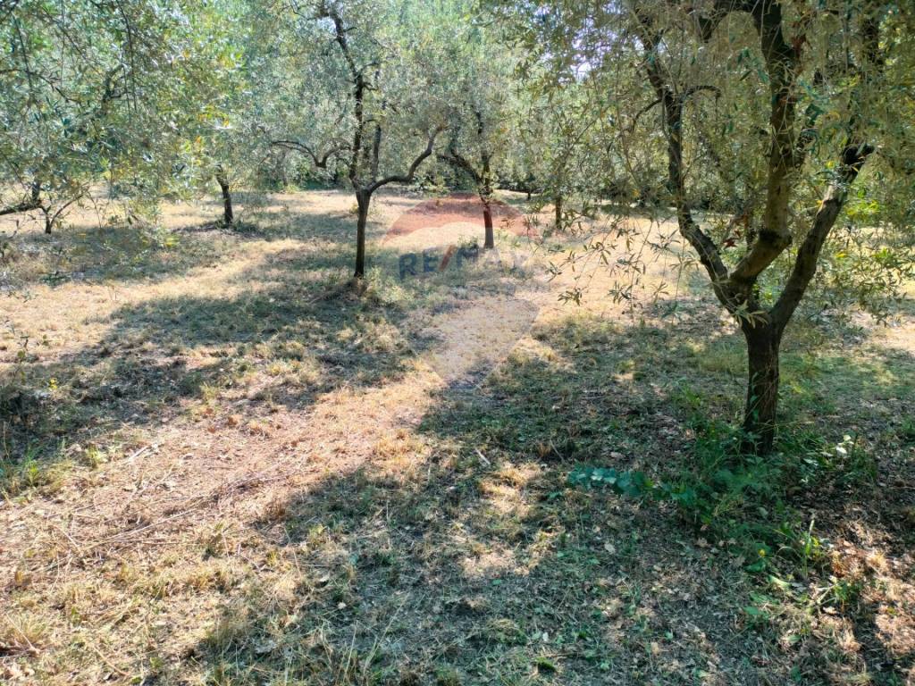 Terreno a Minturno - Foto 4