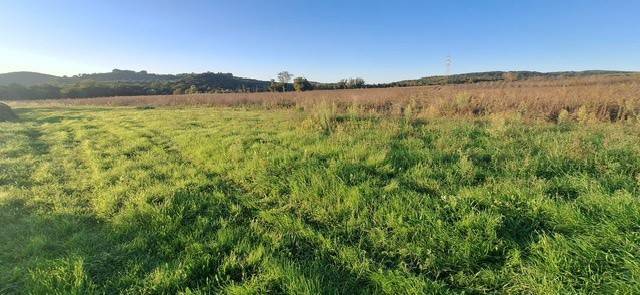 Terreno a Massa marittima - Foto 2
