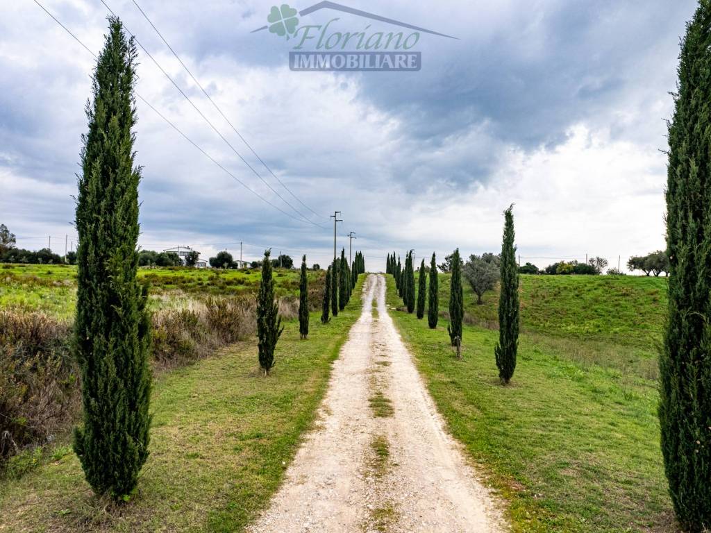 Villa a Montalto di castro in Località Cacciata Grande - Foto 3