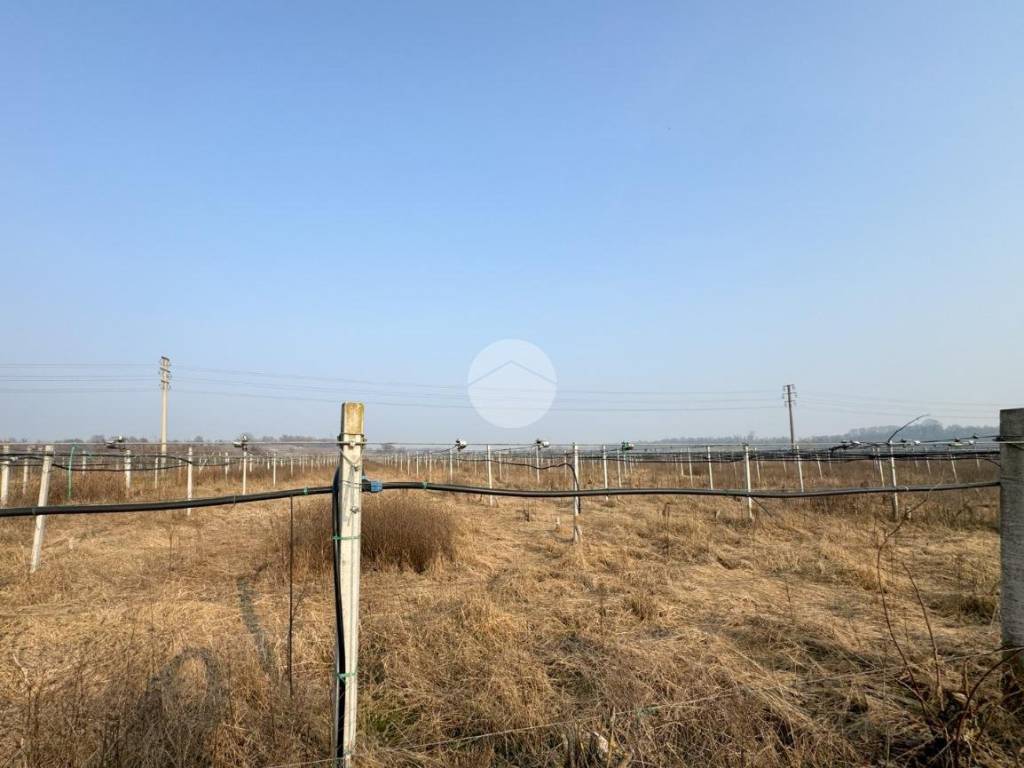 Terreno a Volta mantovana in Strada Volta-Monzambano - Foto 4