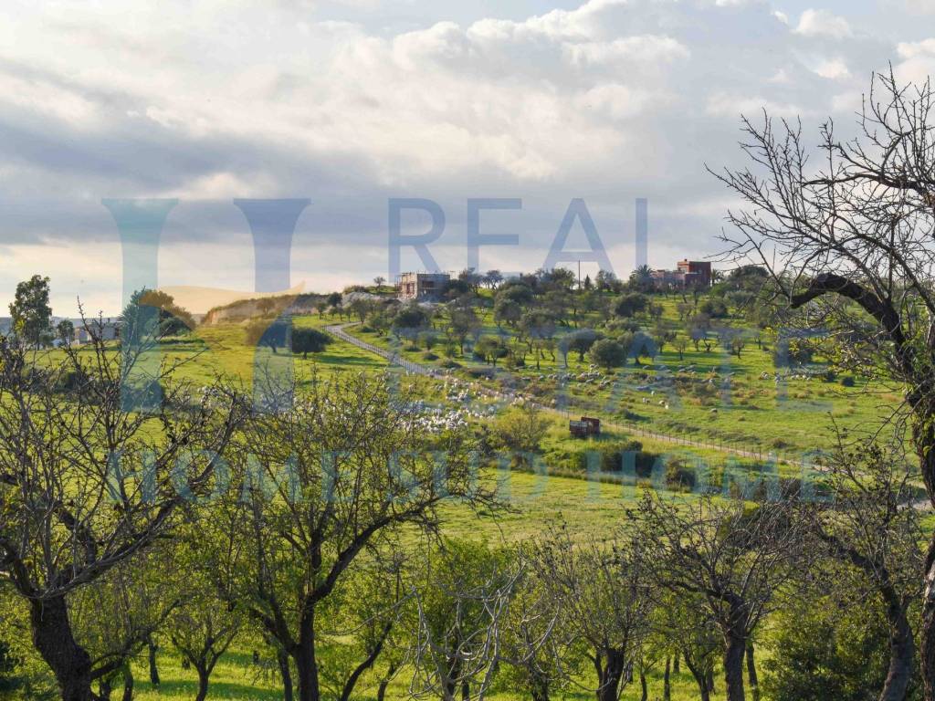 Rustico / casale a Noto in Via Tommaso Fazello, 228 - Foto 3