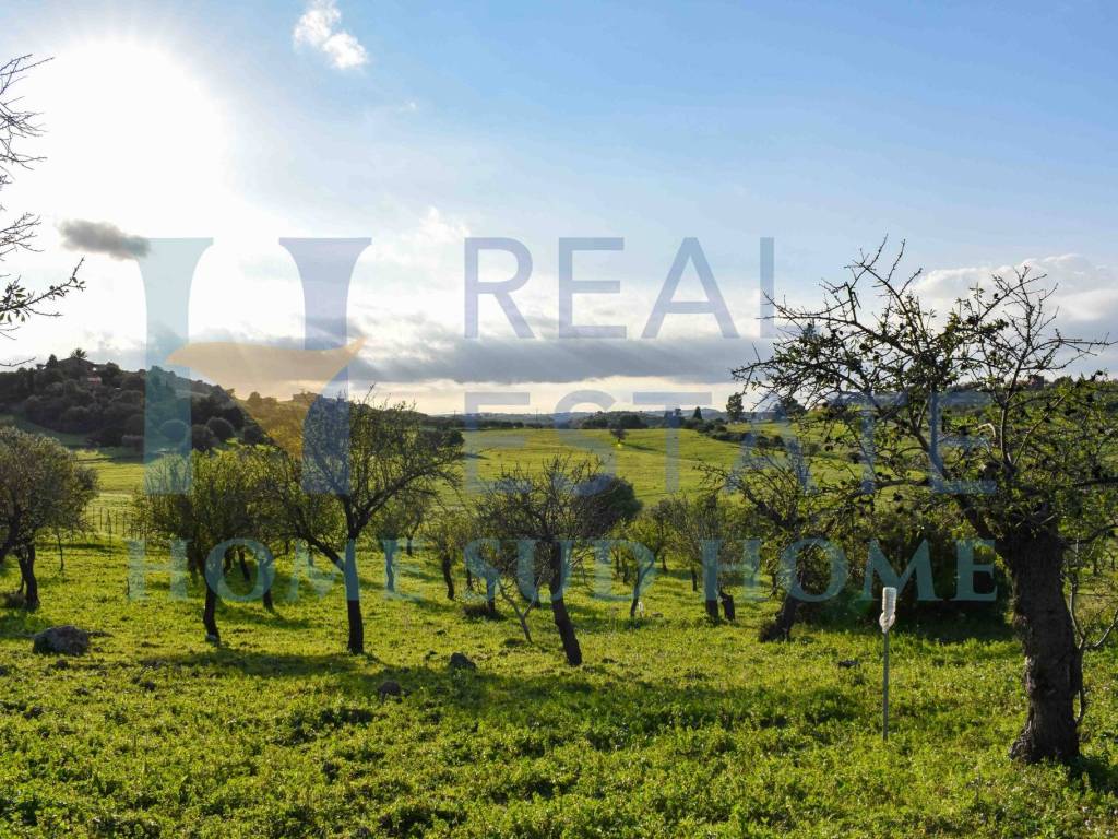 Rustico / casale a Noto in Via Tommaso Fazello, 228 - Foto 5