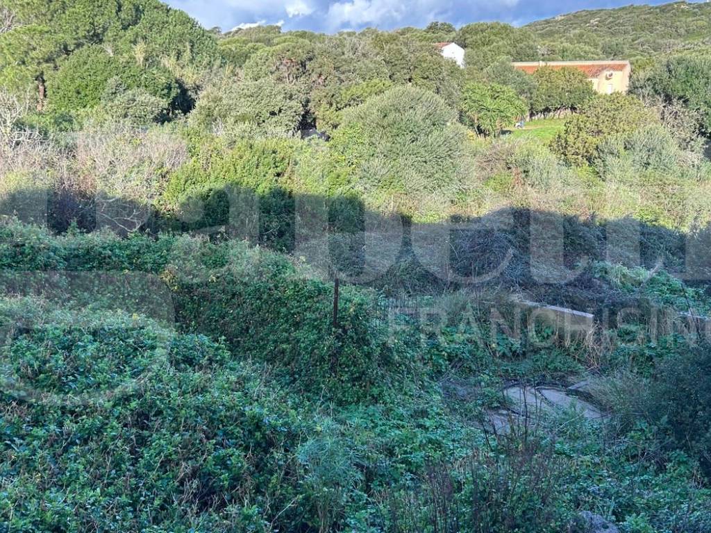 Terreno a Santa teresa gallura in Terreno edificabile Marazzino, 20 - Foto 2