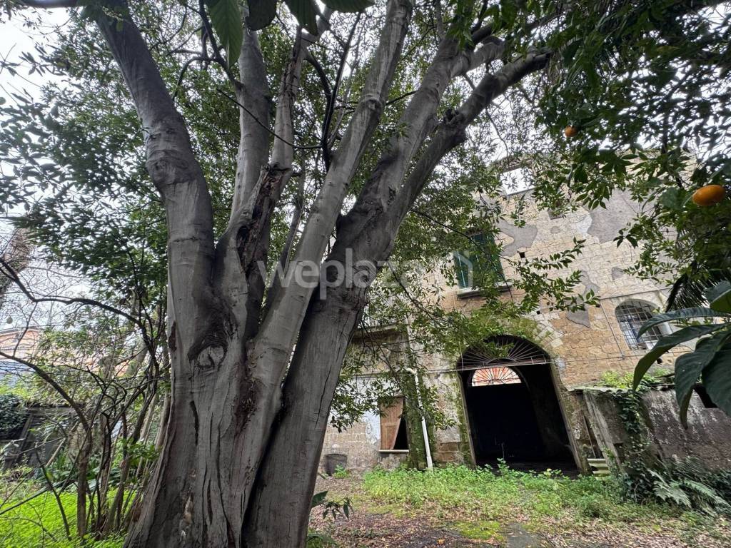 Rustico / casale a San giorgio a cremano - Foto 2