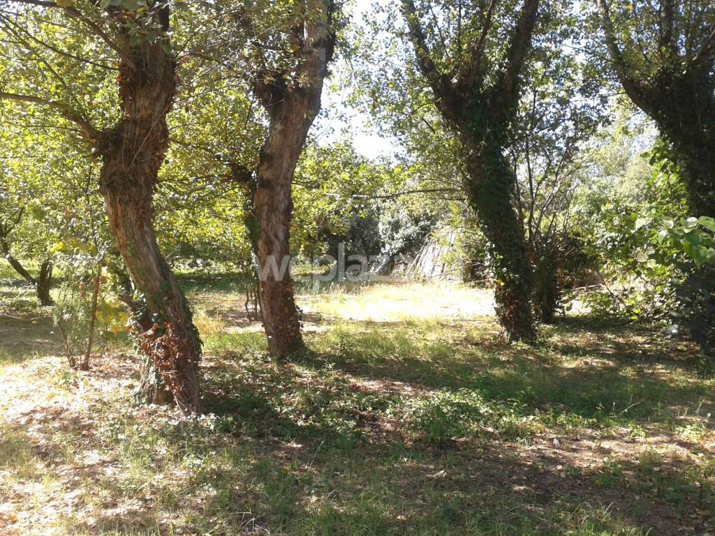 Rustico / casale a San giorgio a cremano - Foto 3