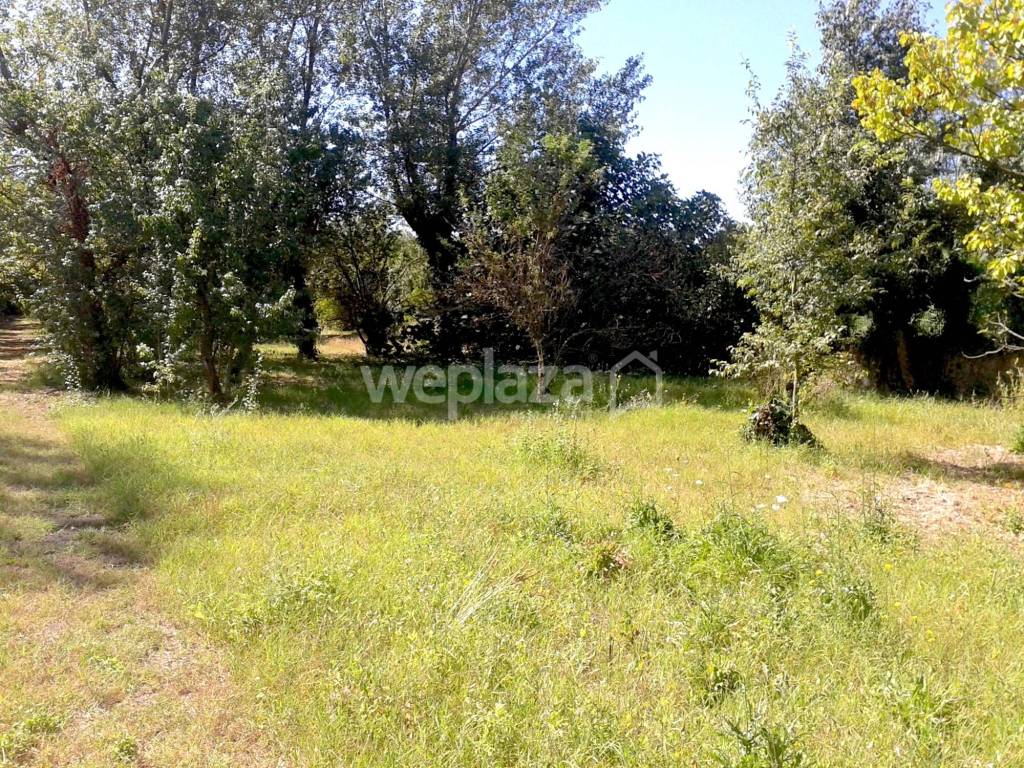 Rustico / casale a San giorgio a cremano - Foto 5